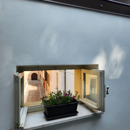 Domus Flavia Apartment Mantova Exterior photo